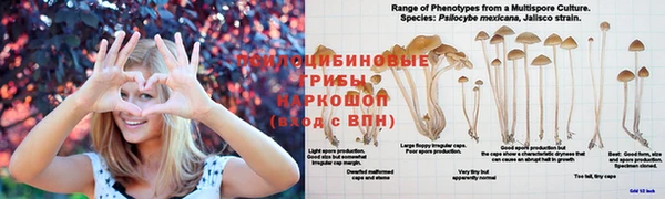 Альфа ПВП Алзамай