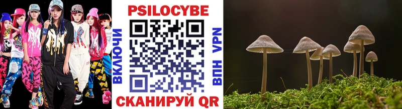 Псилоцибиновые грибы Psilocybe закладка Ефремов