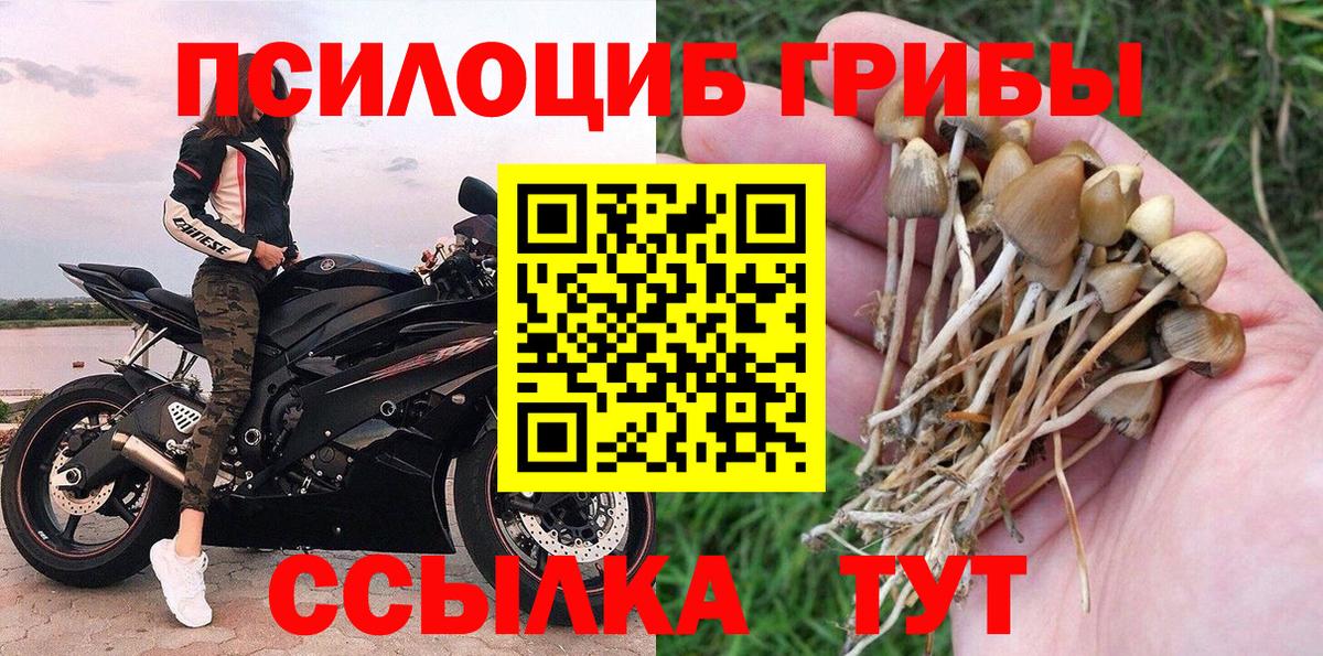Ефремов  Галлюциногенные грибы прущие грибы  Вход с VPN  Галлюциногенные грибы прущие грибы 