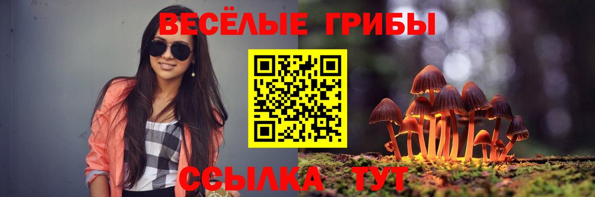 Галлюциногенные грибы MAGIC MUSHROOMS Ефремов