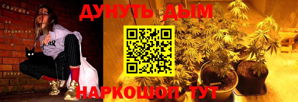 Бошки марихуана тримм  Канабис семена  Ефремов  Каннабис LSD WEED  Вход с VPN 